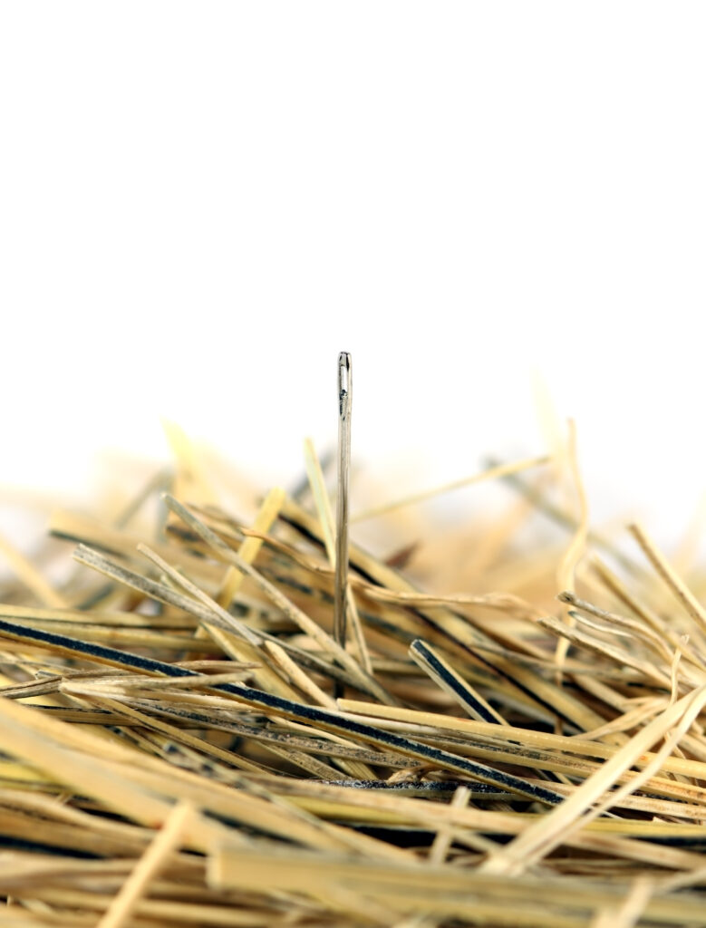 Needle In A Haystack